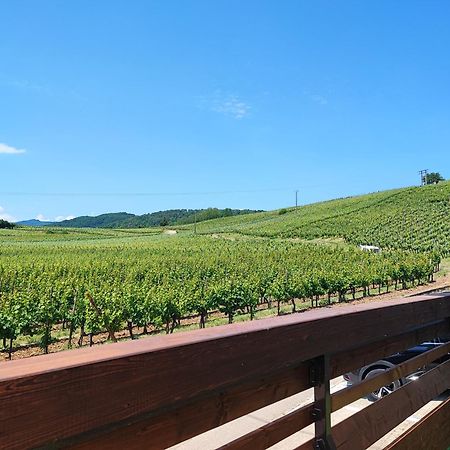 L'Altenberg Bergheim Εξωτερικό φωτογραφία