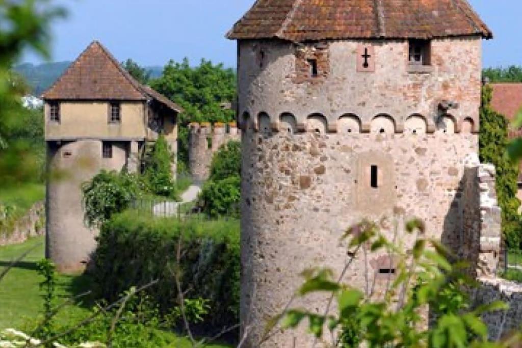 L'Altenberg Bergheim Εξωτερικό φωτογραφία