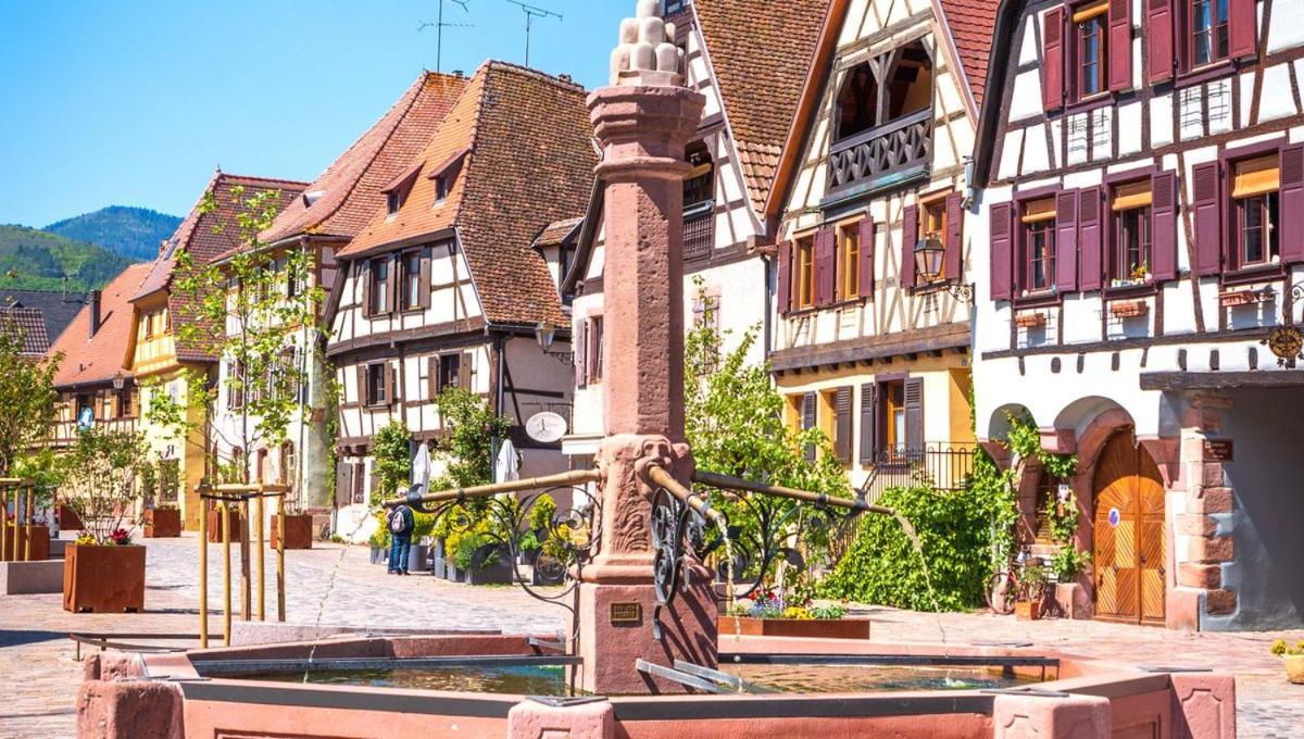 L'Altenberg Bergheim Εξωτερικό φωτογραφία