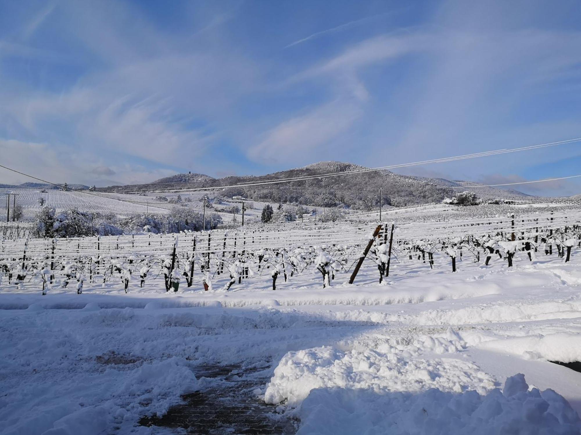 L'Altenberg Bergheim Εξωτερικό φωτογραφία